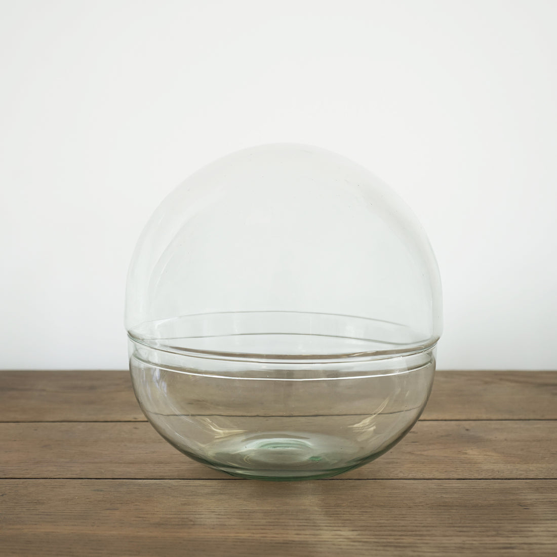 Bocal Terrarium "Toto"
