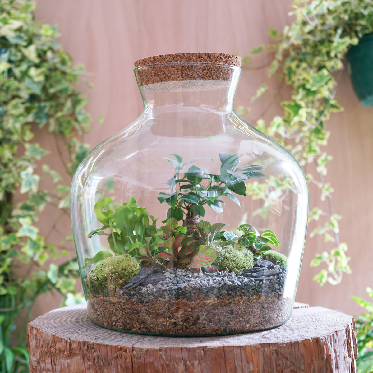 Terrarium "Aragon XL"