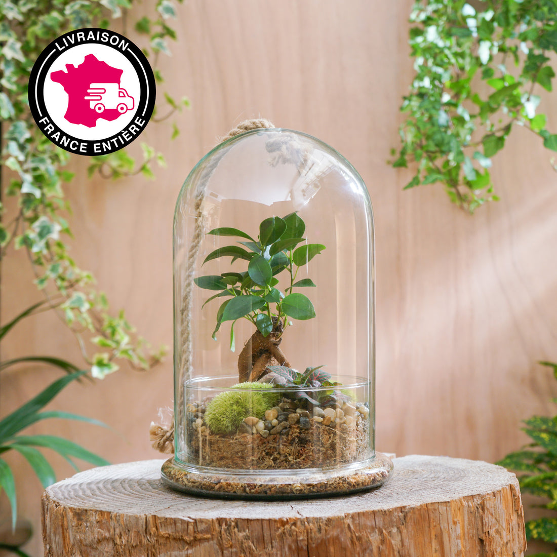 Terrarium Cloche "Castille M"