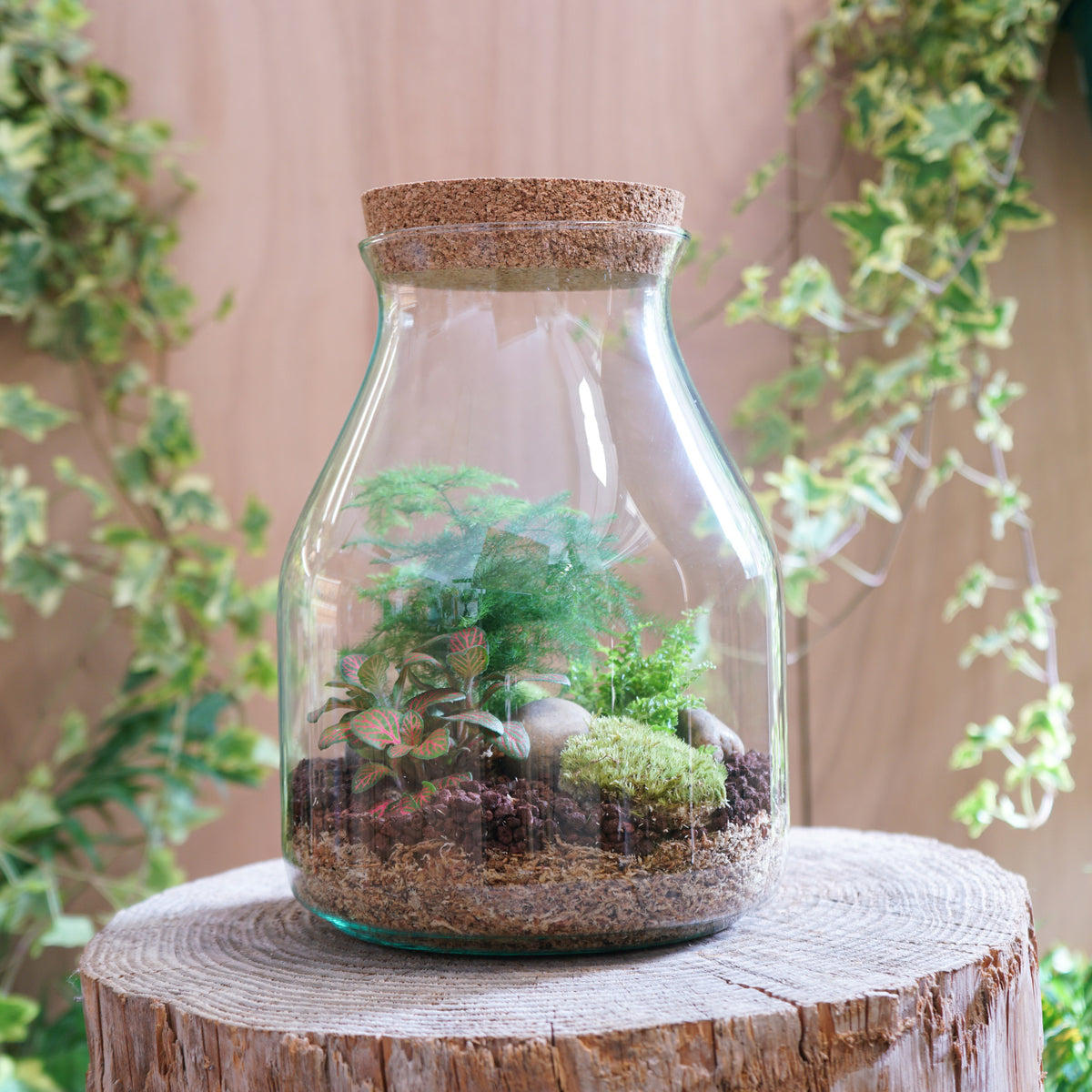 Terrarium "Zantrop"