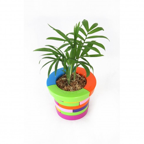 Kit "Mon pot à construire"