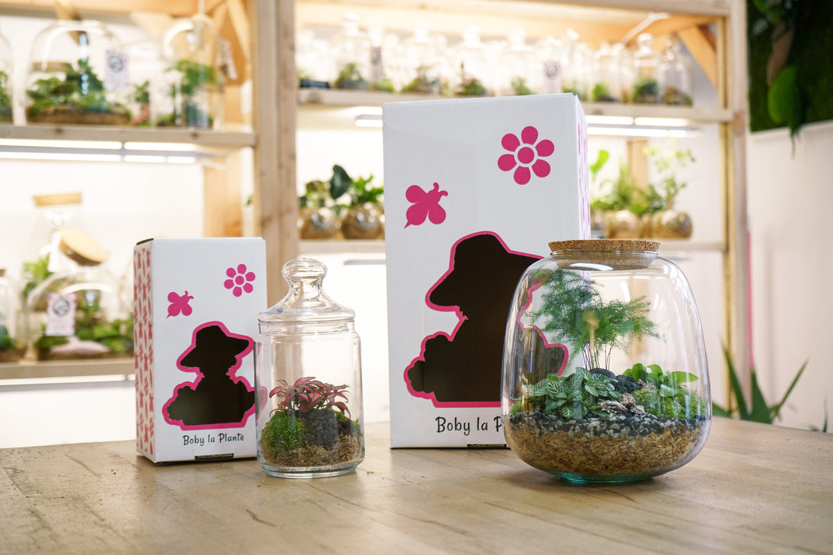 Terrariums livraison France entière