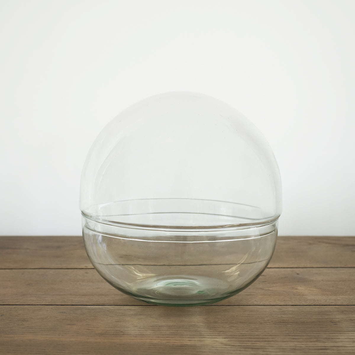 Bocal Terrarium "Toto"