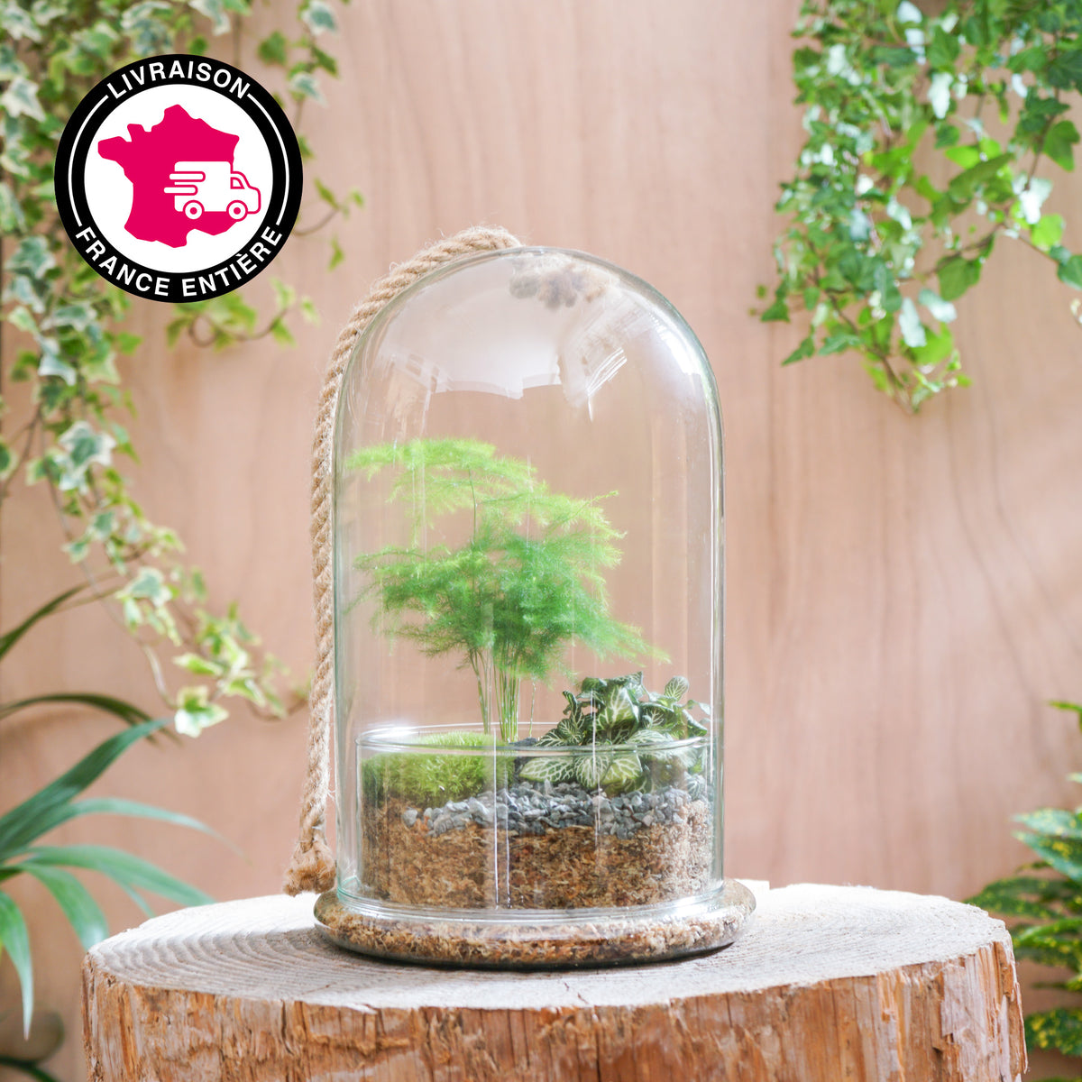 Terrarium Cloche "Castille M"