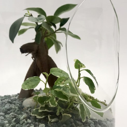 Suspension "Tchita" Ginseng