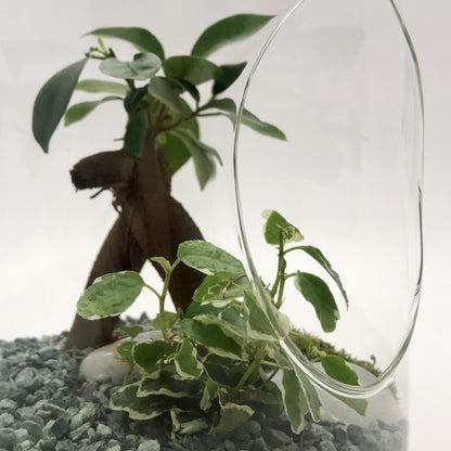 Suspension "Tchita" Ginseng