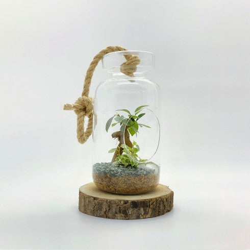 Suspension "Tchita" Ginseng