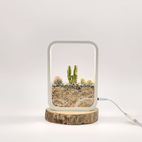 Terrarium "Cactus LED" blanc