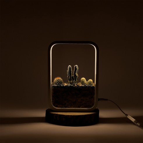 Terrarium "Cactus LED" blanc