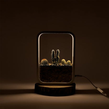 Terrarium "Cactus LED" blanc