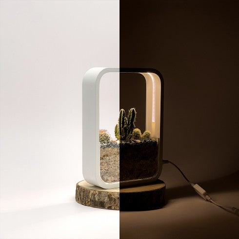Terrarium "Cactus LED" blanc
